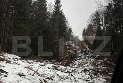 Teren de 4000 mp, în Calea Moroieni - 14