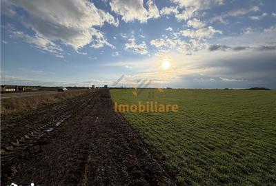 Teren de 24457 mp, în Nojorid