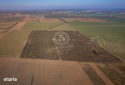 Teren de 1118 mp, în Snagov - 8