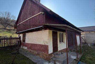 Casă cu 5 camere cu Teren 3252 Mp în Aghireșu - 9