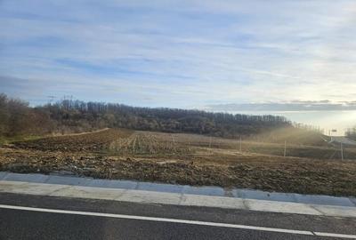 Teren de 8443 mp, în Podu Broșteni - 1