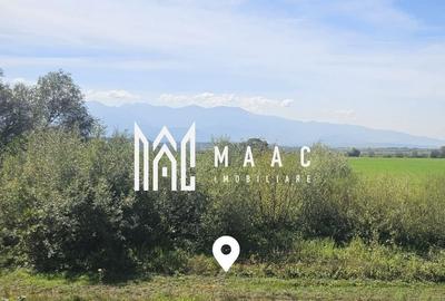 Teren 3.500 mp | Lângă canalul Oltului  | Porumbacu de Jos Teren 3.500 mp | Lângă canalul Oltului  | Porumbacu de Jos - 4