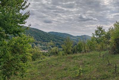 Teren de 5400 mp, în Drăgăneasa - 3