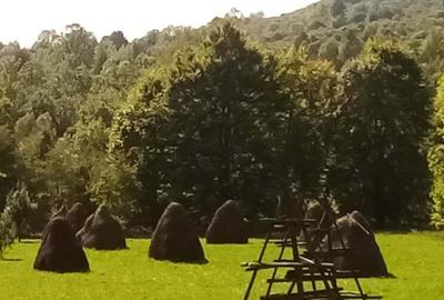 Teren de 2142 mp, în Valea Doftanei - 6