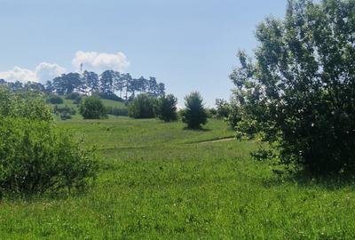 Teren intravilan – 3.101 mp, Tărlungeni, Brașov – ideal pentru casă de vacanta - 7