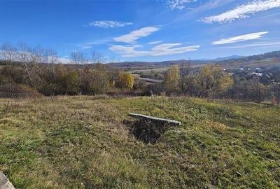 Rezidenta noua, oportunitate personalizare, peste 1.500mp, Persani, Brasov - 17