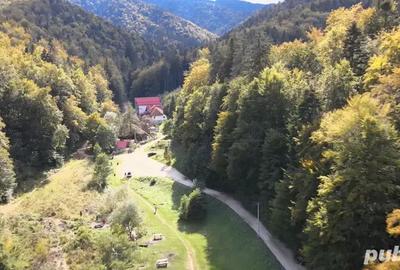 Locatie pentru activitati festive - 1