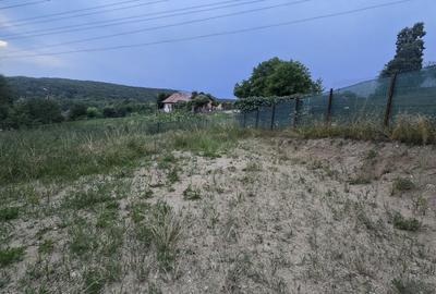 Spațiu comercial, în Cotmeana - 2
