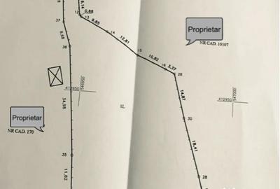 Teren de 3169 mp, în Talea - 6