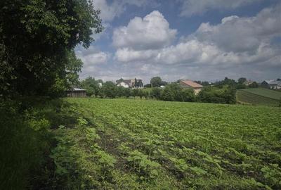 Teren intravilan de 2000 mp, în Moara Nica - 4
