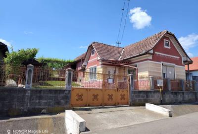 Casă cu 2 camere în Viișoara - 1