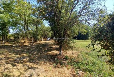 Casa Bila Ghimpati- Giurgiu - 2