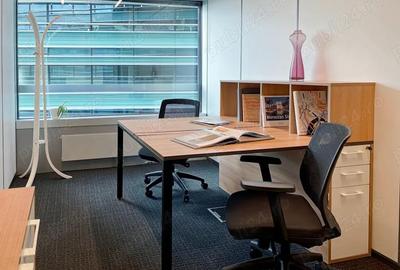 Acces all-inclusive la birouri in Regus Green Gate - 16