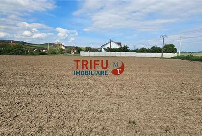 Teren de 2000 mp, în Ighiu