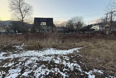 Teren de 10834 mp, în Dumbrăvești - 12