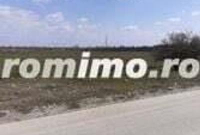 Teren intravilan 10.000 -38.000 mp industrial 1 Decembrie- DN5 stradal - 3