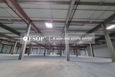 Spațiu comercial, de 7,000 mp, în Central - 1