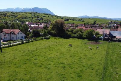 Teren plat P +4 Bran, panoramic munti, DN73, toate utilitatile - 4