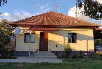 Casă cu 3 camere cu Teren 3000 Mp în Români - 3