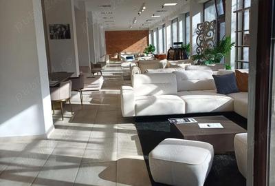 Spațiu comercial, de 485 mp, în Șagului - 3