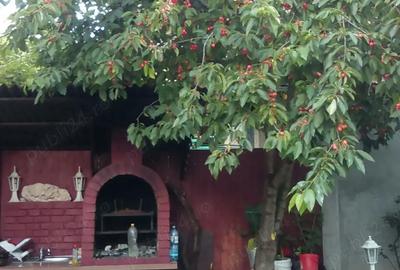 Casă cu 1 camere cu Teren 315 Mp în Ceangăi - 1
