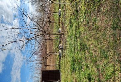 Casa cu 3 camere - 1