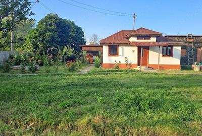 Casă cu 3 camere cu Teren 5740 Mp în Central - 4