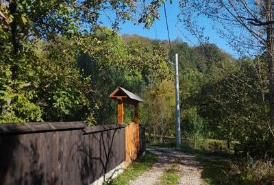 Casă individuală cu 3 camere cu Teren 850 Mp în Breaza de Sus - 4