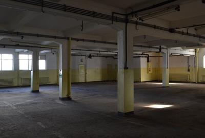 Spațiu industrial, de 2,937 mp, în Titulescu - 2