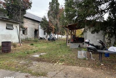 Casă cu 4 camere cu Teren 11000 Mp în Central - 3