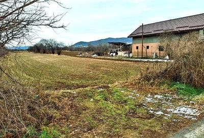 Teren de 10000 mp, în Unguriu - 1