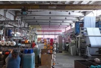 Hala productie 23 August. - 3