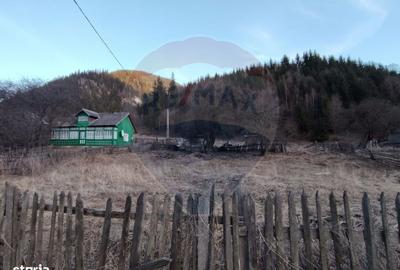 Casă cu 2 camere în Ortoaia - 1