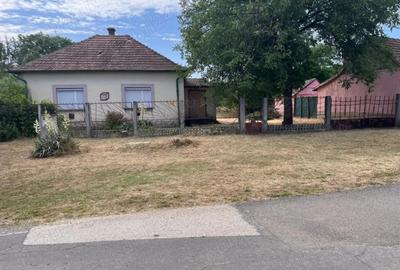 Casa si gradina