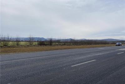 Teren de 8397 mp, în Central - 2