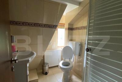 Casa cu potential turistic, 380 mp, FUNDATA - 15