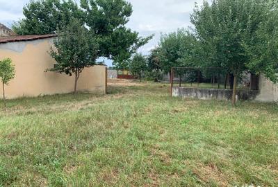 Casă cu 6 camere în Belinț - 3