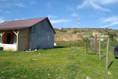 Casă cu Teren 1500 Mp în Dobromir - 1