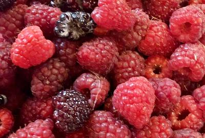 Casă cu 4 camere cu Garaj în Exterior Est - 23