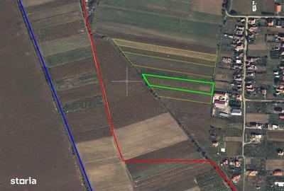 Teren de 5000 mp, în Lazuri