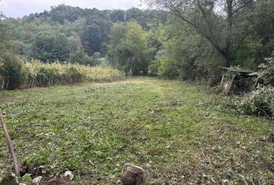 Casă cu 4 camere cu Teren 1000 Mp în Pârâu - 1