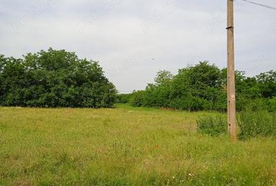 Teren de 1000 mp, în Valea Stânii - 2