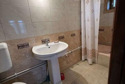 Casă cu 4 camere cu Teren 11000 Mp în Săliște - 9