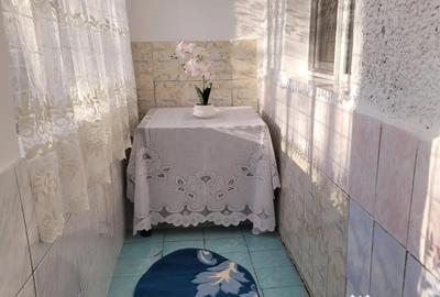 Apartament cu 2 camere nedecomandat în Narcisa - 10