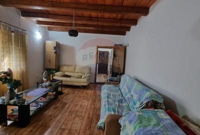 Casa de vacanta / Vila de vanzare Lilieci, Ialomita - 8