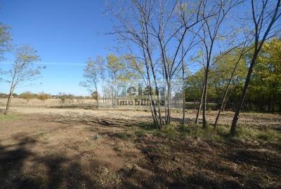 Snagov Ciofliceni - Teren 716 mp, d 30 m, gaz, curent, asfalt, padure Snagov Ciofliceni - Teren 716 mp, d 30 m, gaz, curent, asfalt, padure - 6