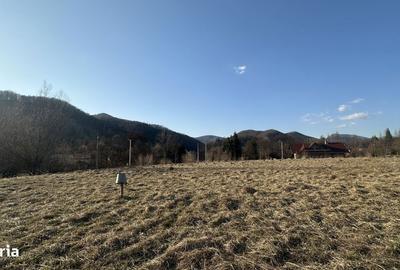 Spațiu comercial, în Firiza - 2