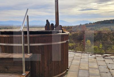 Casa de vanzare, sub padure, intr-un cadru natural deoseb - 9