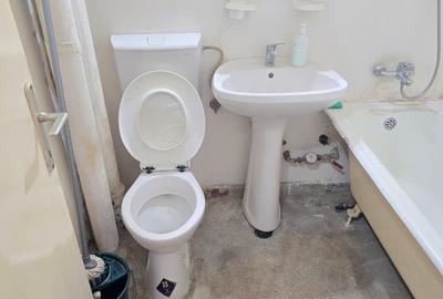 Apartament cu 2 camere decomandat în Gojdu - 8