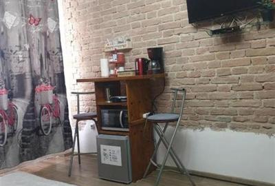 Apartament cu 2 camere decomandat, mobilat în Ultracentral - 2